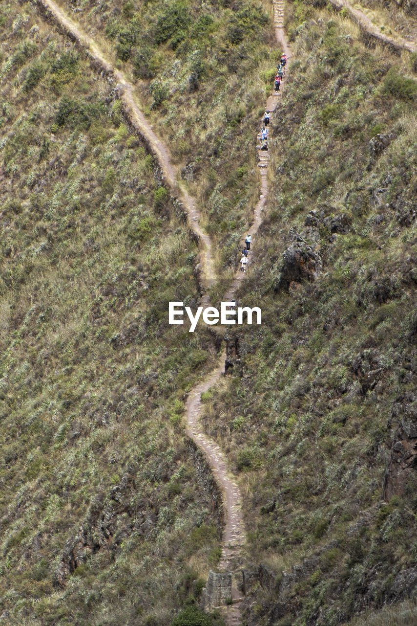 HIGH ANGLE VIEW OF DIRT ROAD AMIDST TREES IN FOREST