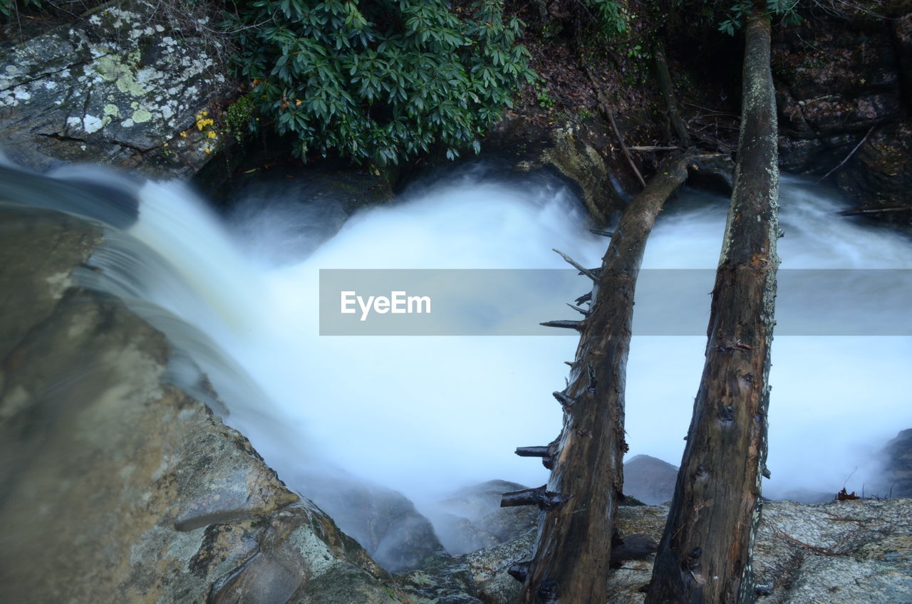 Scenic view of waterfall in forest