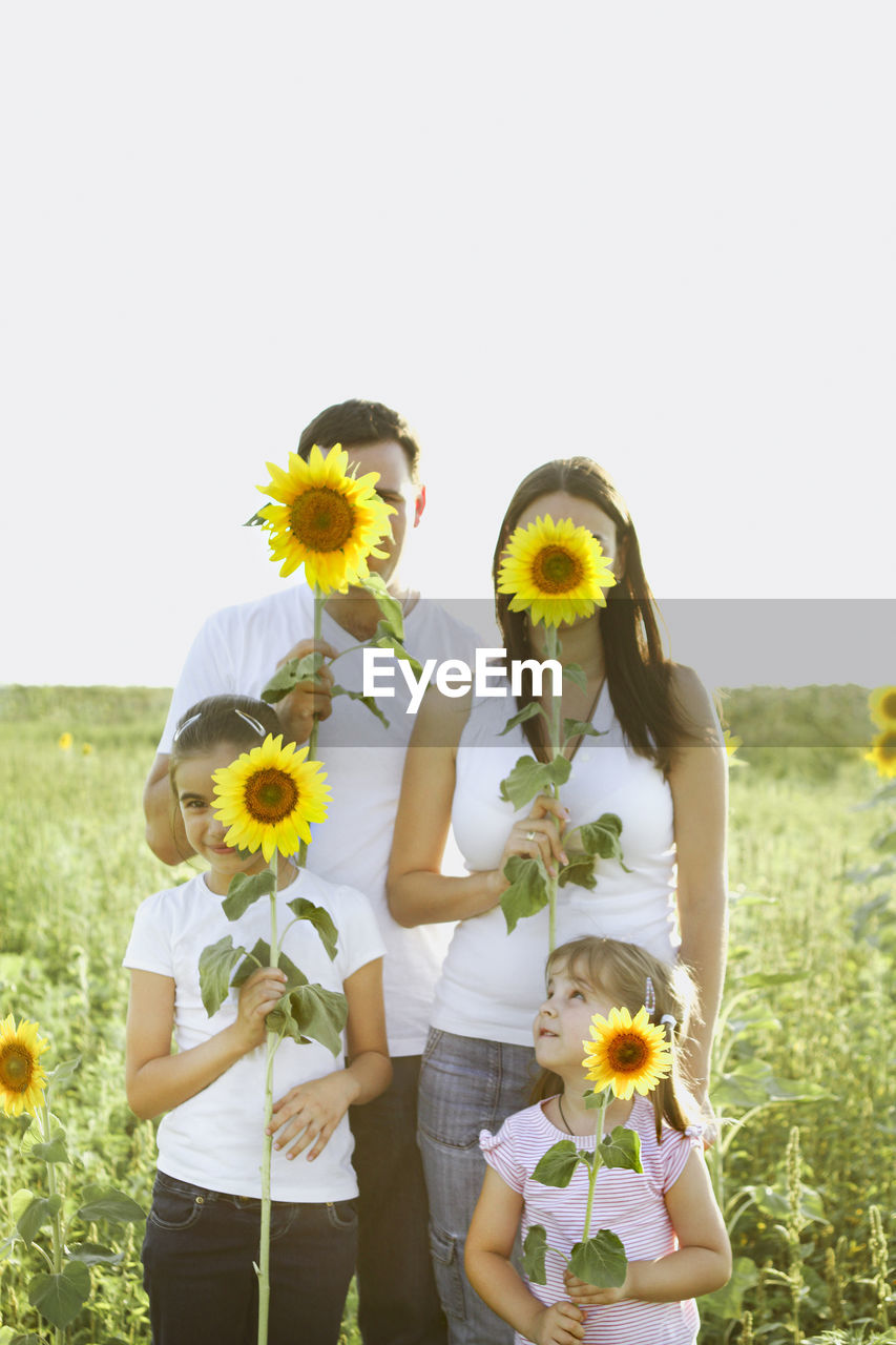 LOW ANGLE VIEW OF SUNFLOWER STANDING ON FIELD