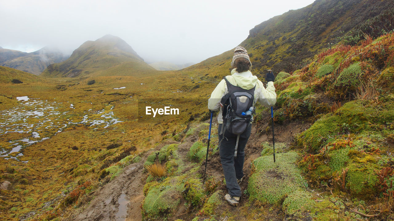 Tourist walking in the cayambe coca national park
