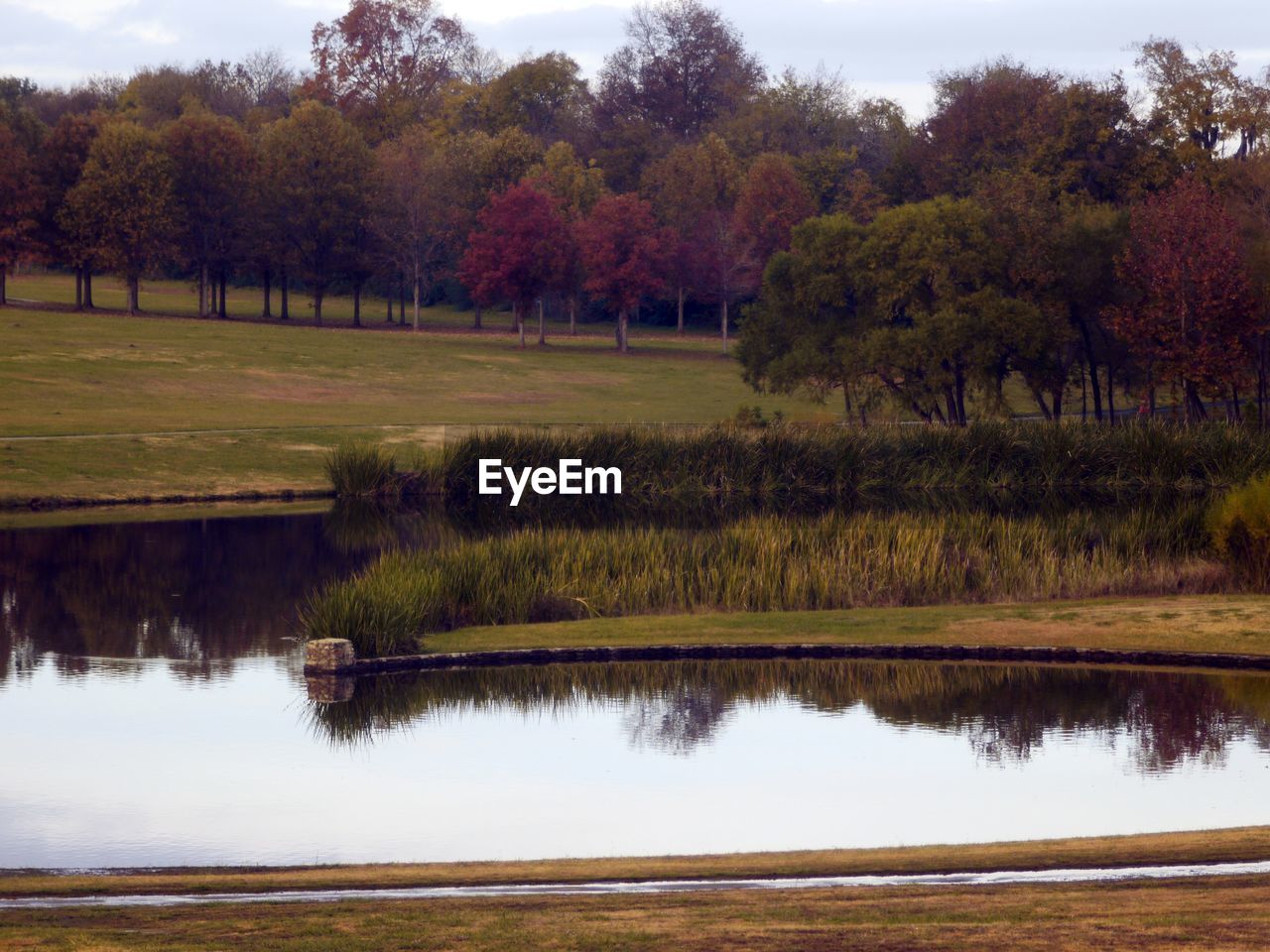 SCENIC VIEW OF LAKE WITH TREES IN BACKGROUND