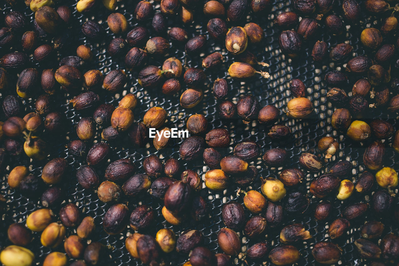 Full frame shot of peanuts on metal