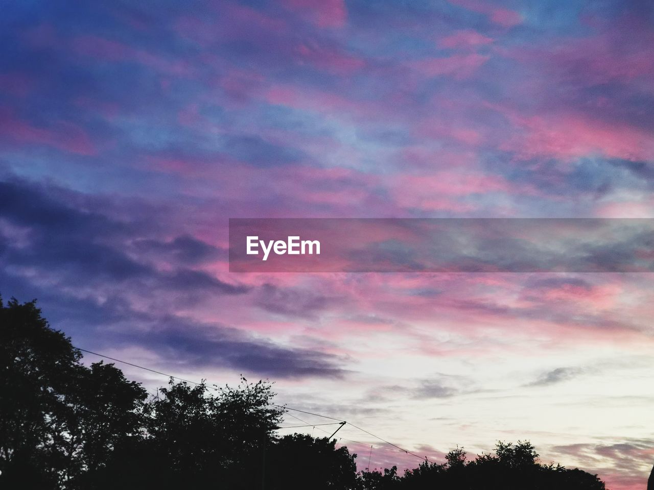 LOW ANGLE VIEW OF SILHOUETTE TREES AGAINST ROMANTIC SKY