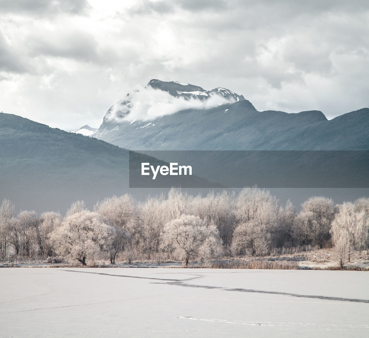 TREES AND SNOWCAPPED MOUNTAINS AGAINST SKY