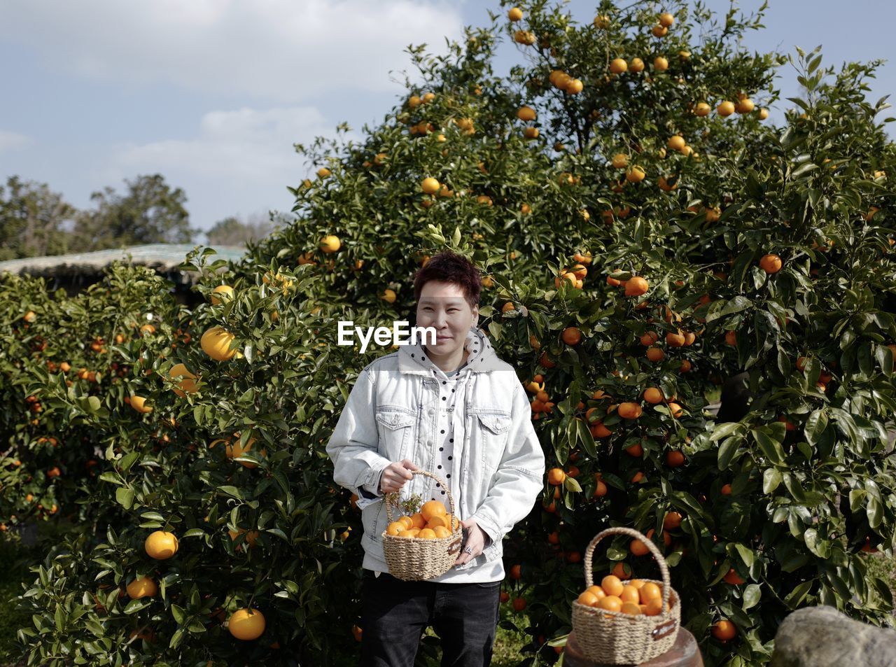 Portrait of smiling man holding oranges in basket at farm