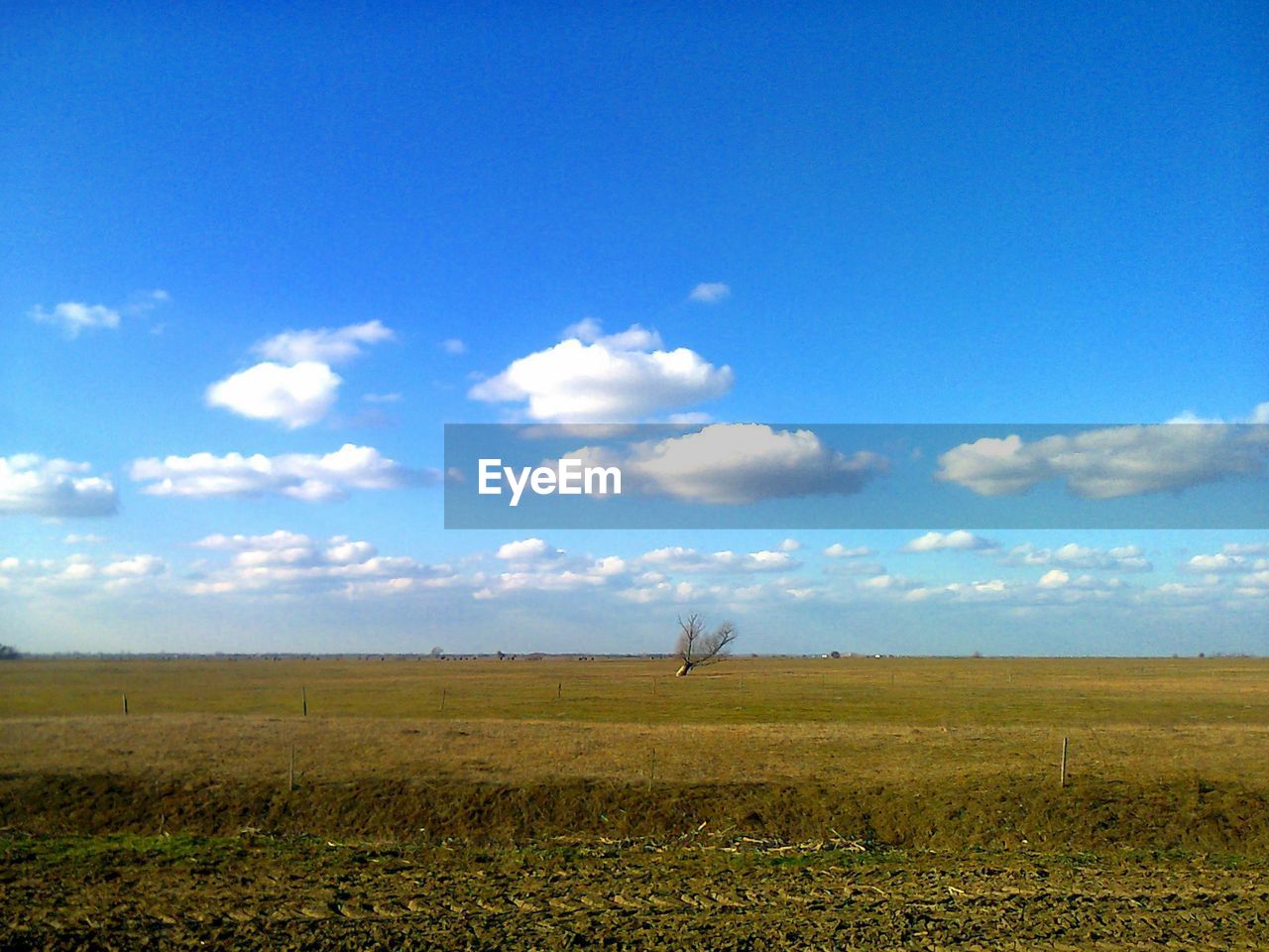 Scenic view of field against blue sky