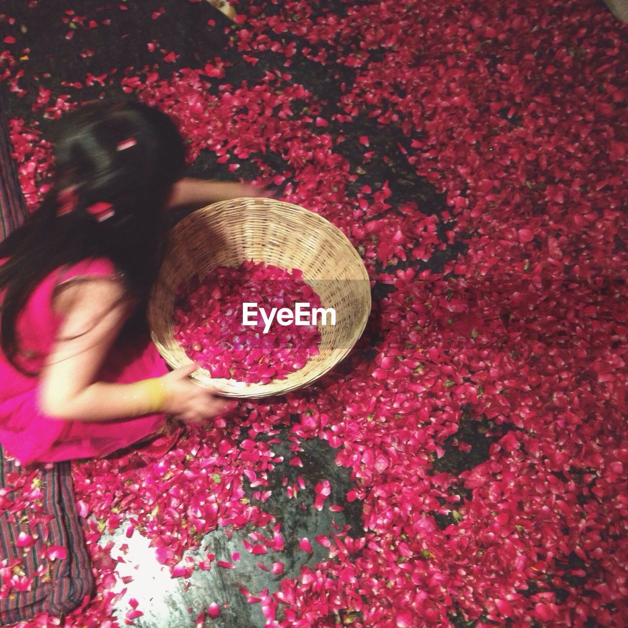 High angle view of girl selling rose petals