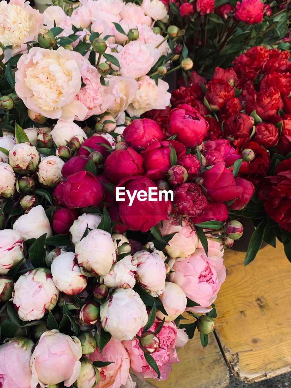 HIGH ANGLE VIEW OF ROSE BOUQUET IN MARKET