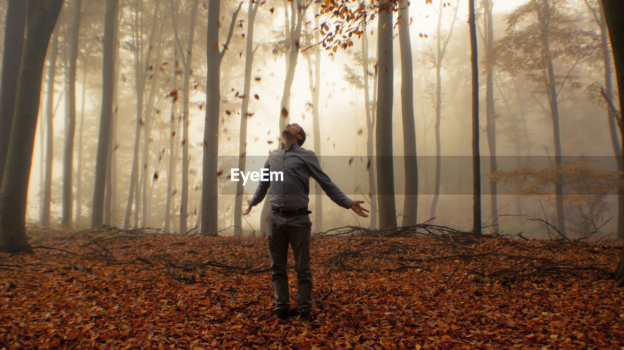 Dry leaves falling on man standing in forest with arms outstretched during foggy weather