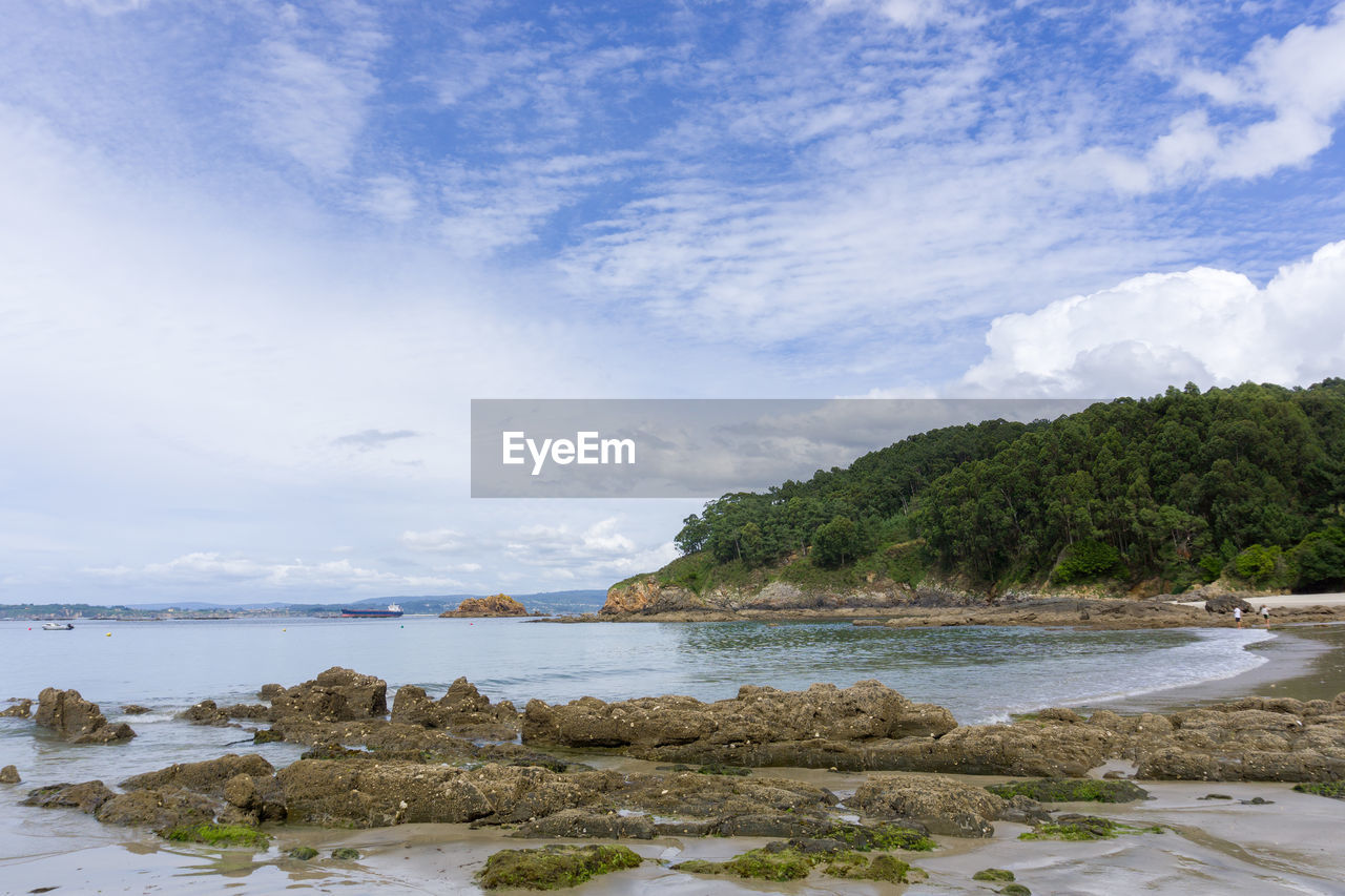 SCENIC VIEW OF SEA BY TREES AGAINST SKY