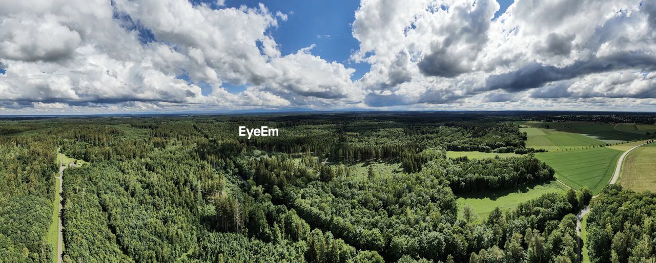 PANORAMIC SHOT OF LAND AND TREES AGAINST SKY