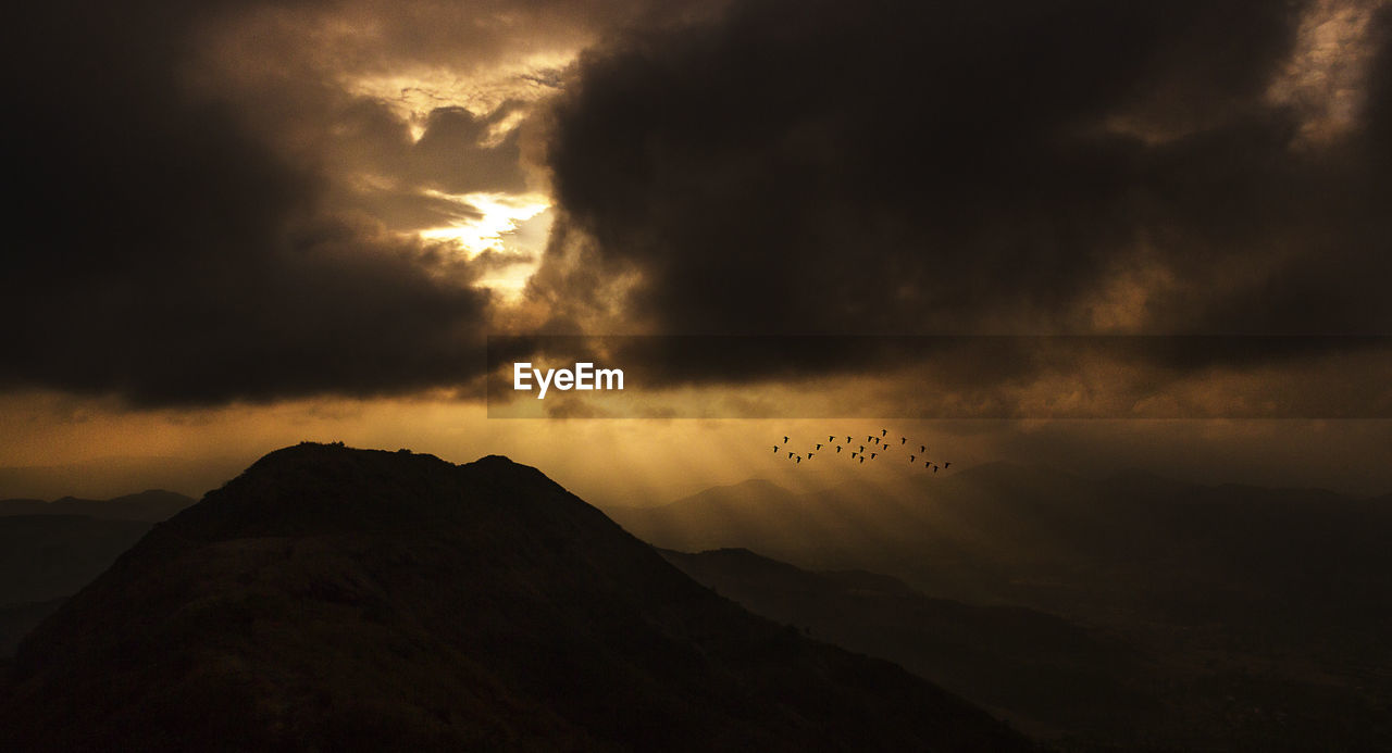 SILHOUETTE BIRDS FLYING IN SKY