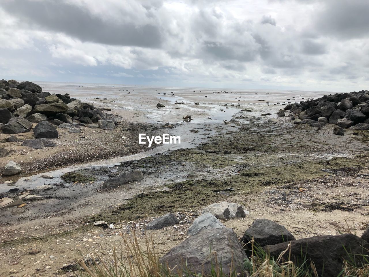 Scenic view of beach against sky