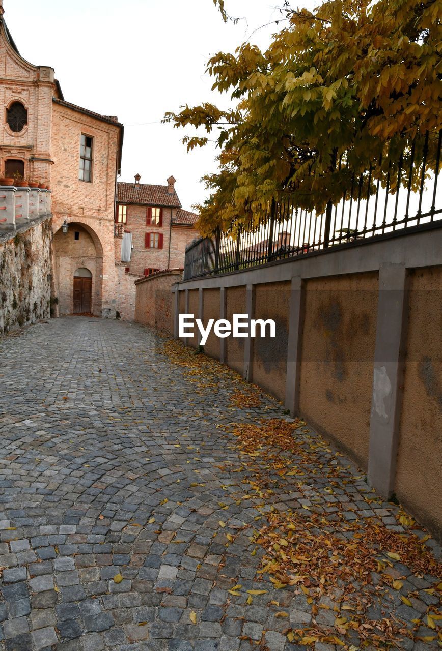 COBBLESTONE STREET AMIDST AUTUMN LEAVES