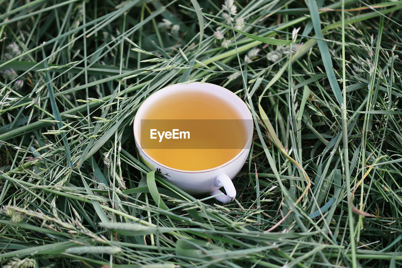 HIGH ANGLE VIEW OF TEA CUP ON GRASS