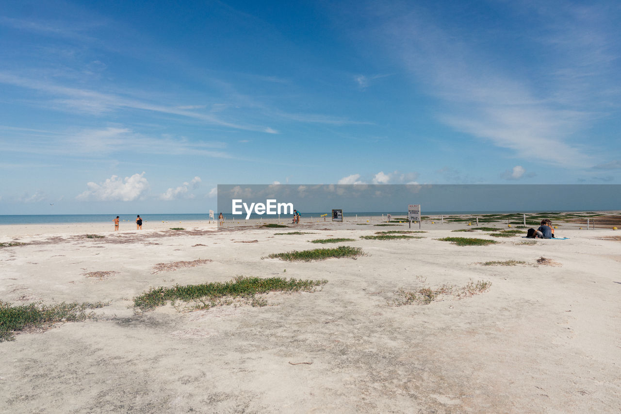 Landscape image of punto moscito on isla holbox.