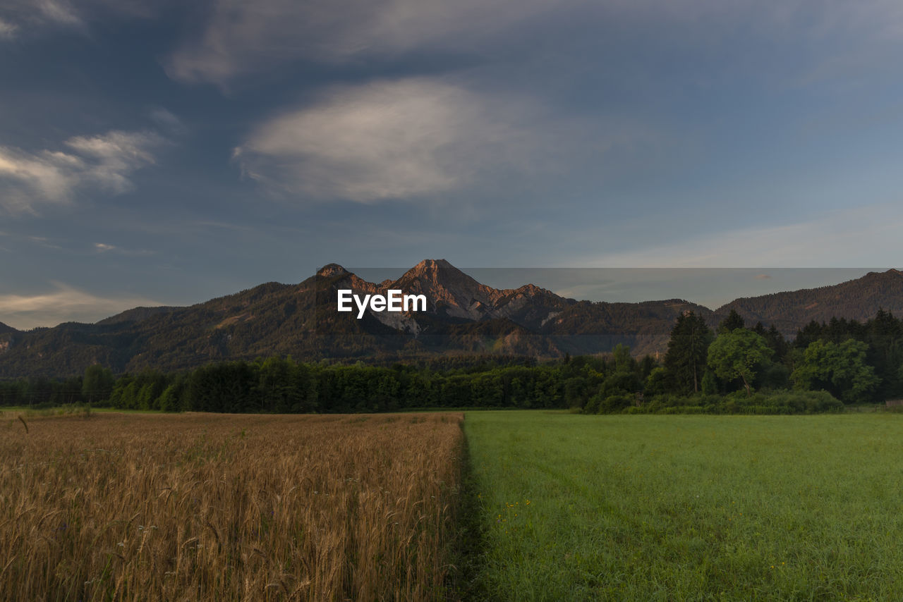 SCENIC VIEW OF LAND AGAINST SKY