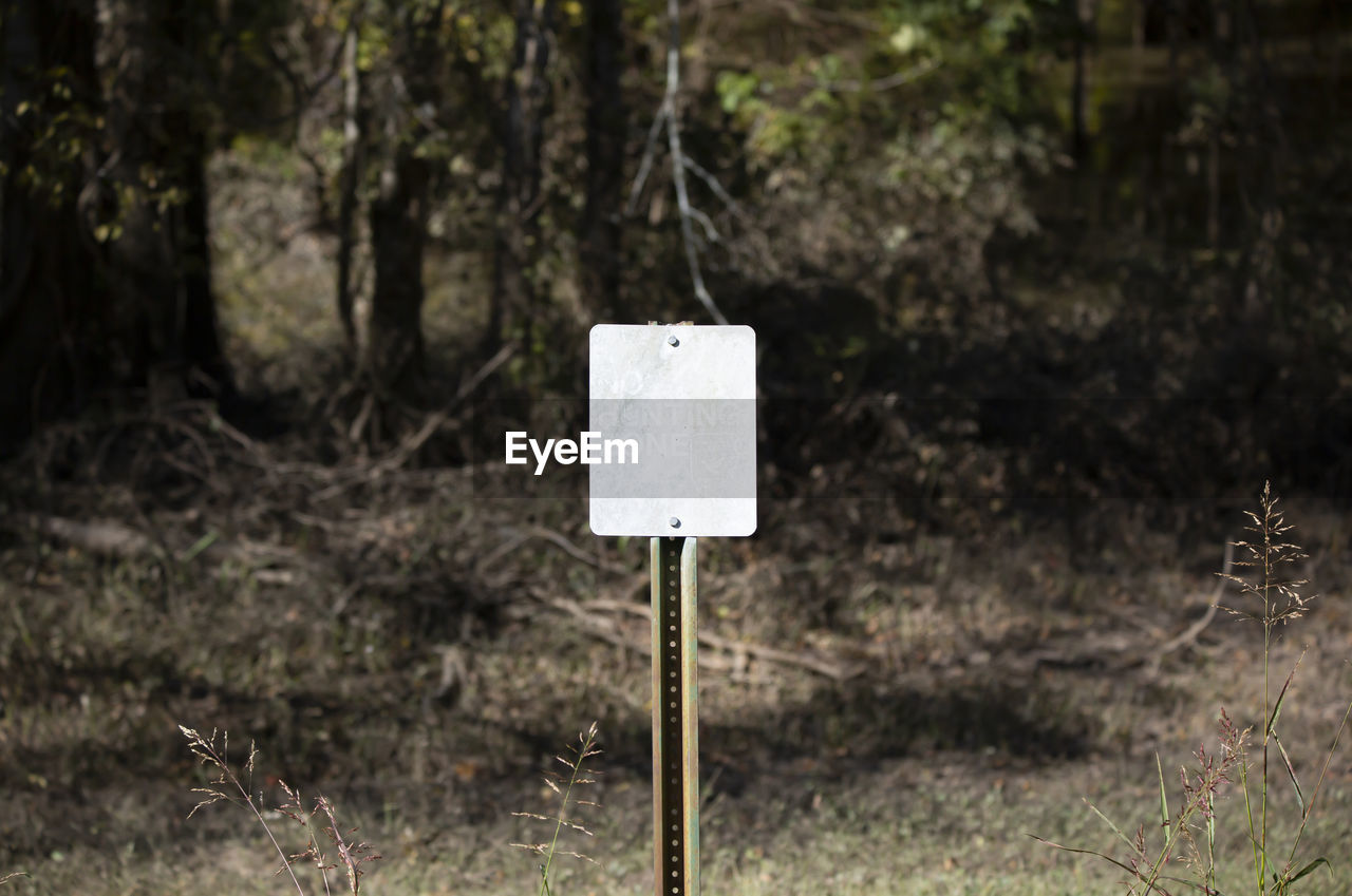 plant, tree, sign, nature, land, communication, no people, forest, natural environment, day, focus on foreground, outdoors, woodland, grass, soil