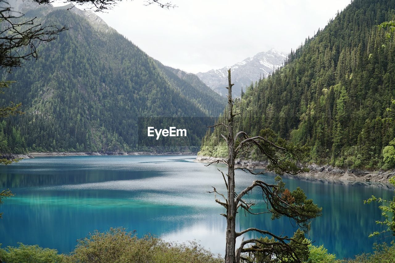 Scenic view of river passing through mountains