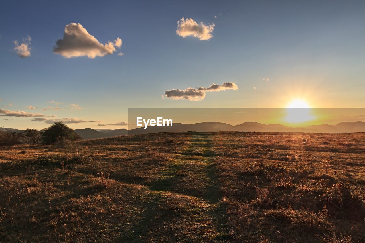 SCENIC VIEW OF AGRICULTURAL FIELD AGAINST SKY AT SUNSET