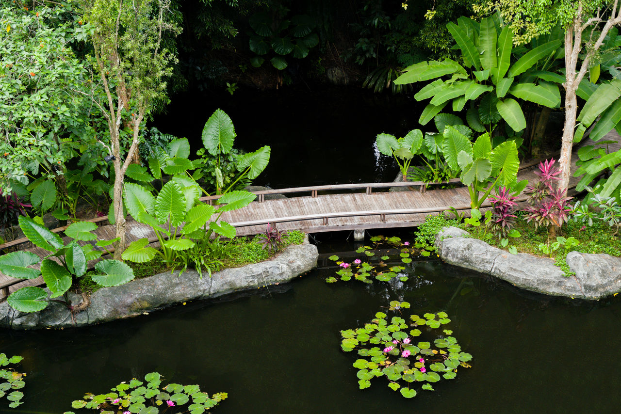 Wooden walkway leading through the pond