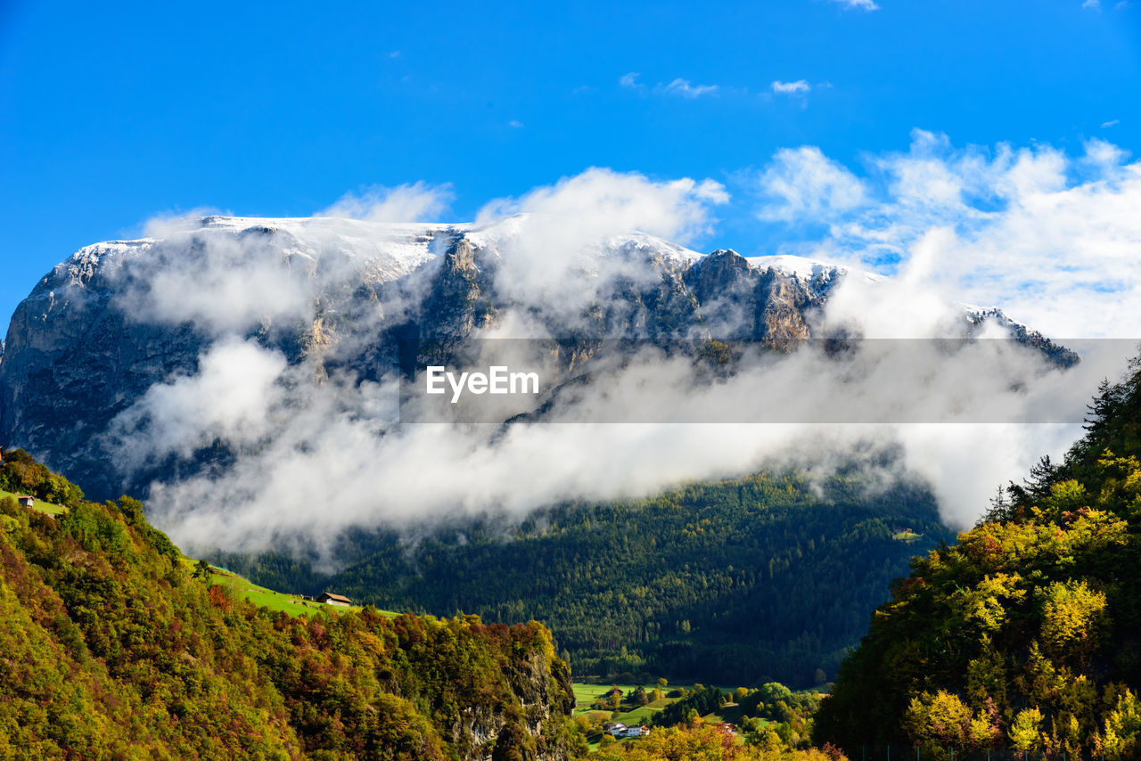 Scenic view of trees by mountains against blue sky