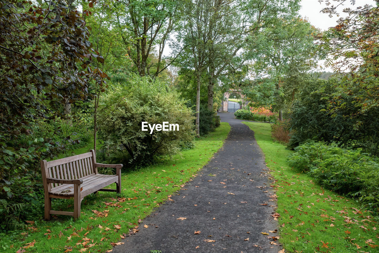 EMPTY BENCH BY FOOTPATH