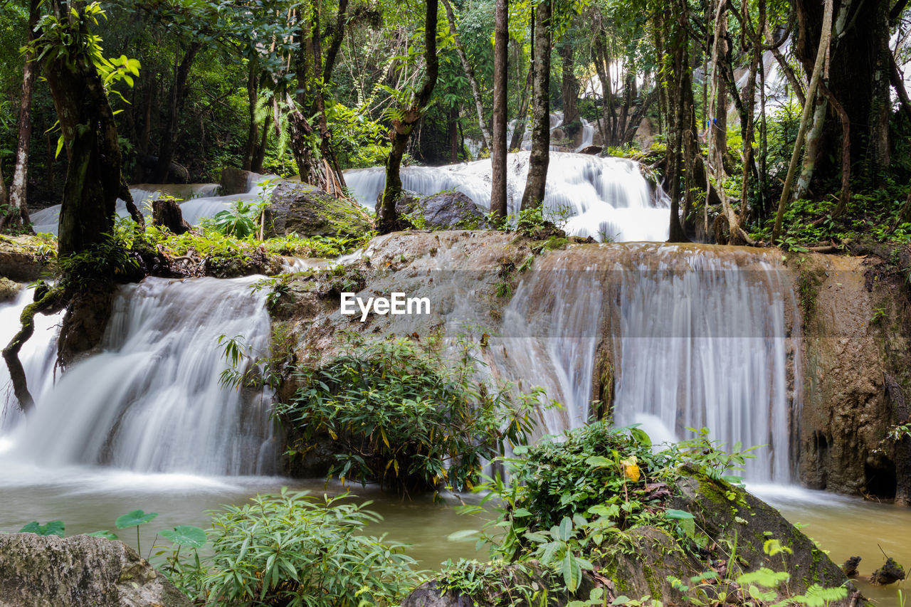 Scenic view of waterfall in forest