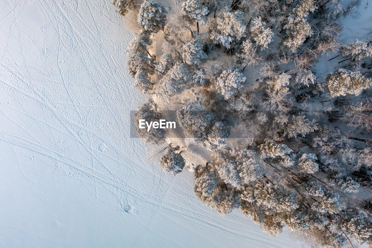 Footprints, animal prints and ski tracks on a frozen lake kaitalampi, espoo, vihti, finland