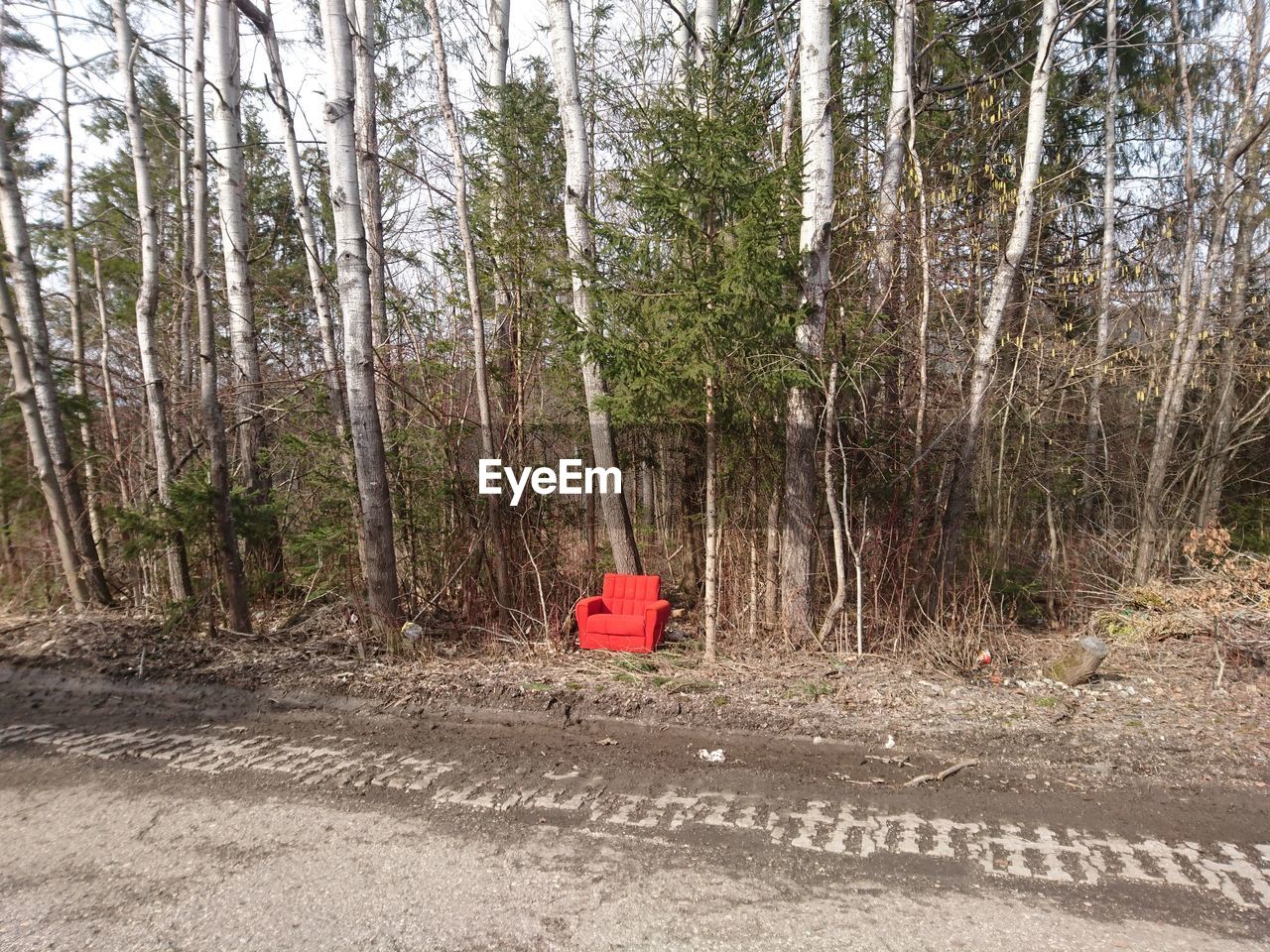 Red armchair on road in forest