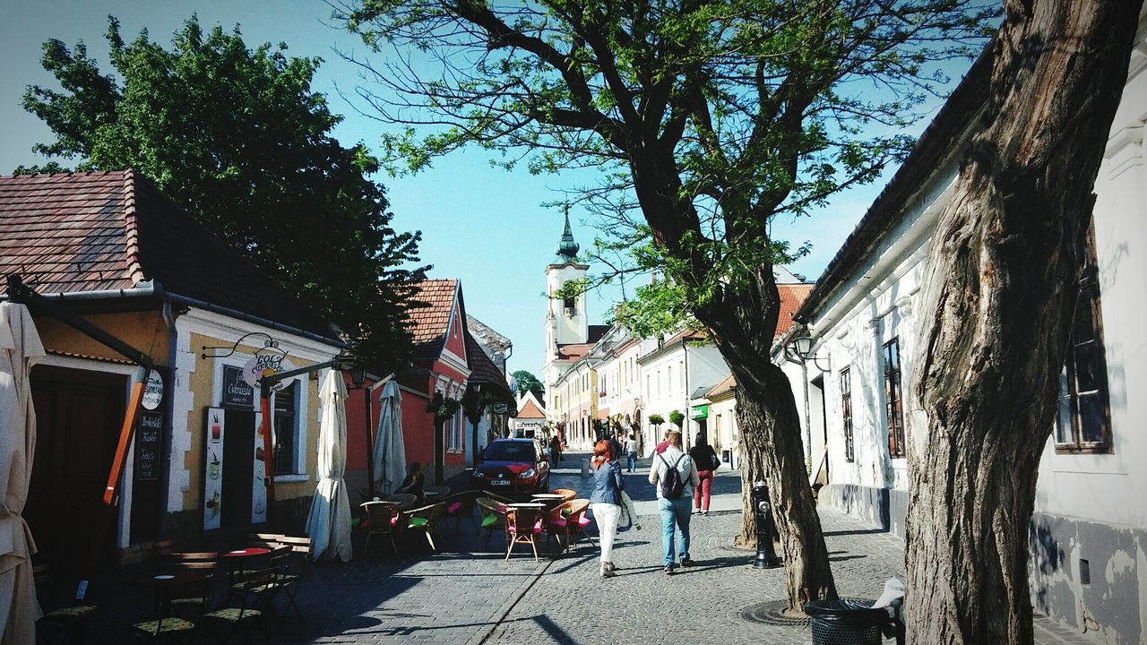 VIEW OF BUILDINGS ALONG TREES