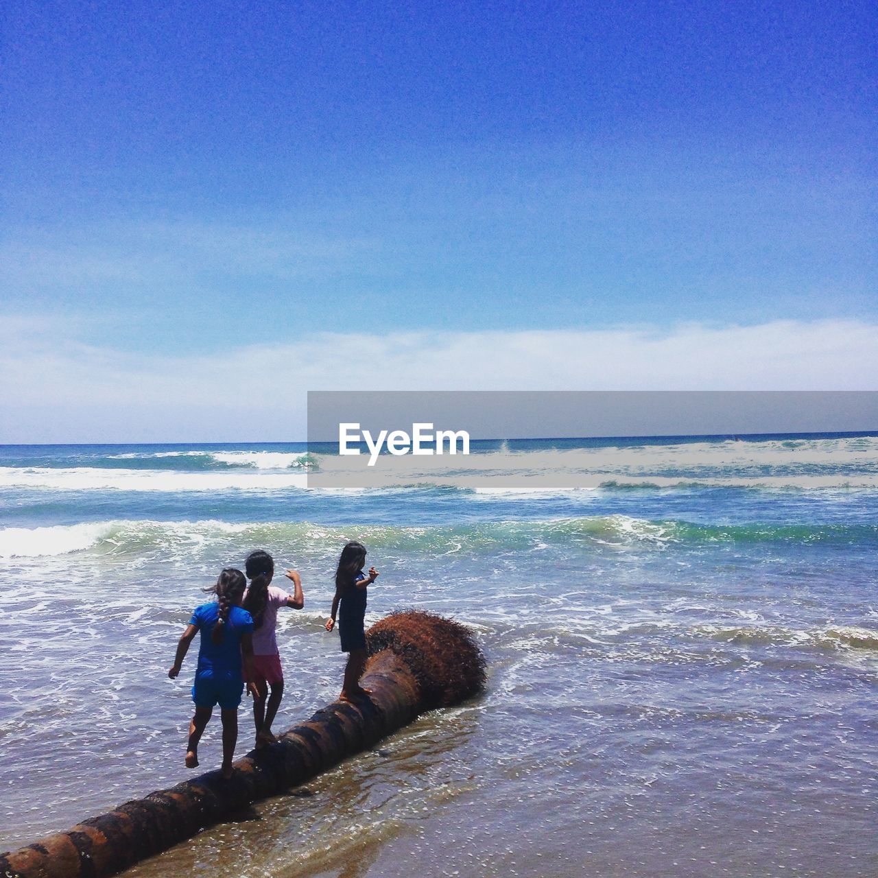 Girls standing on fallen coconut palm tree on beach against sky