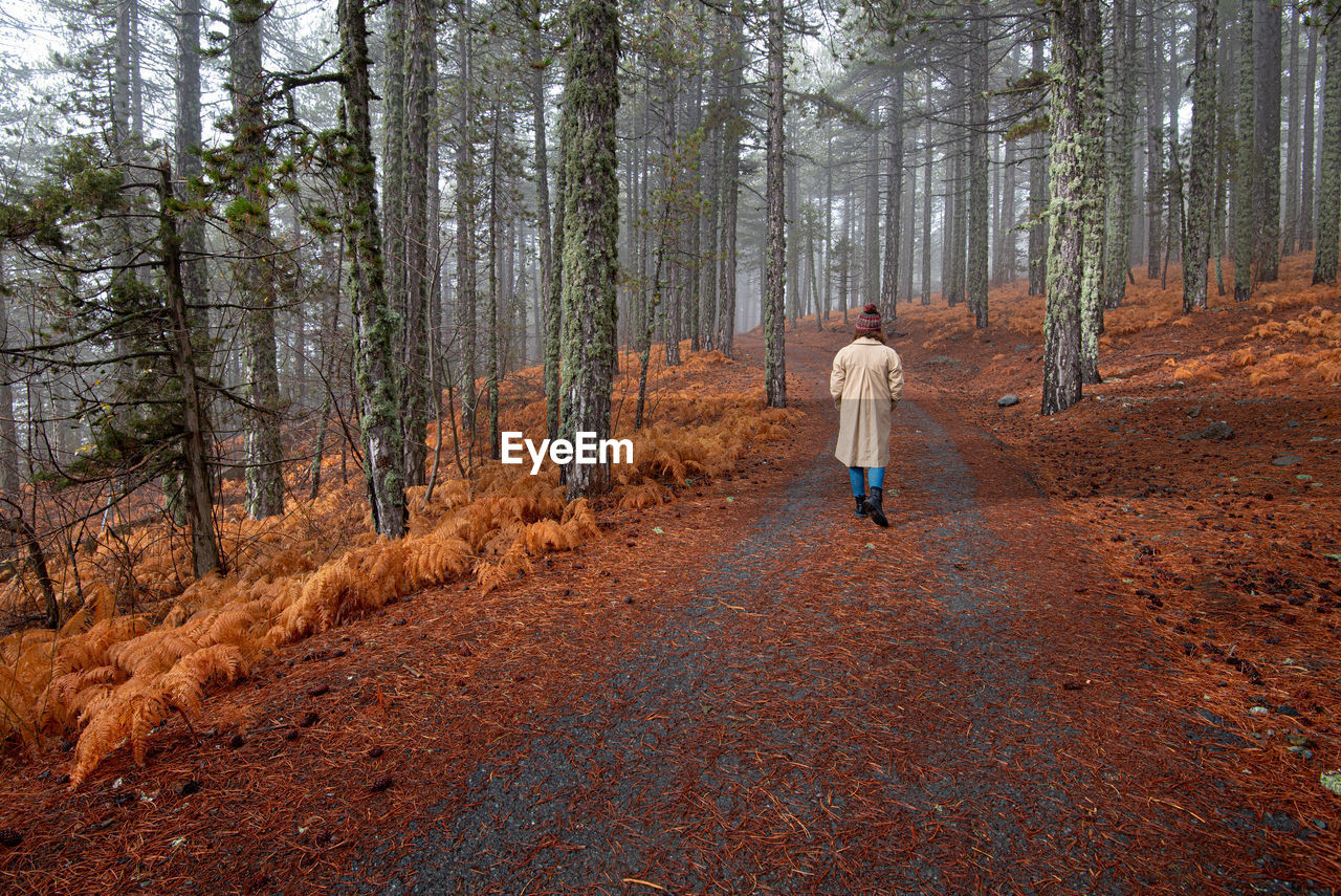 Rear view of woman walking in forest