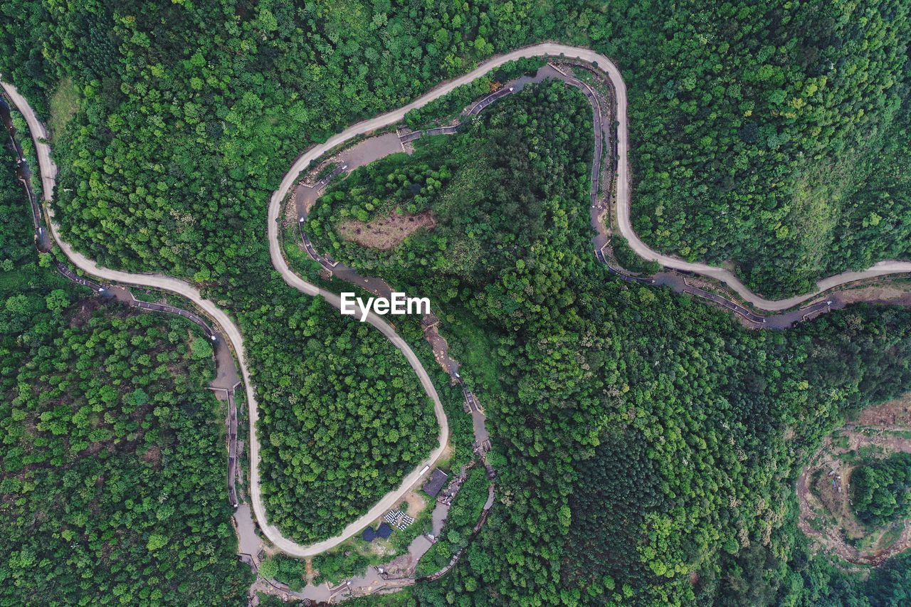 HIGH ANGLE VIEW OF GREEN LANDSCAPE