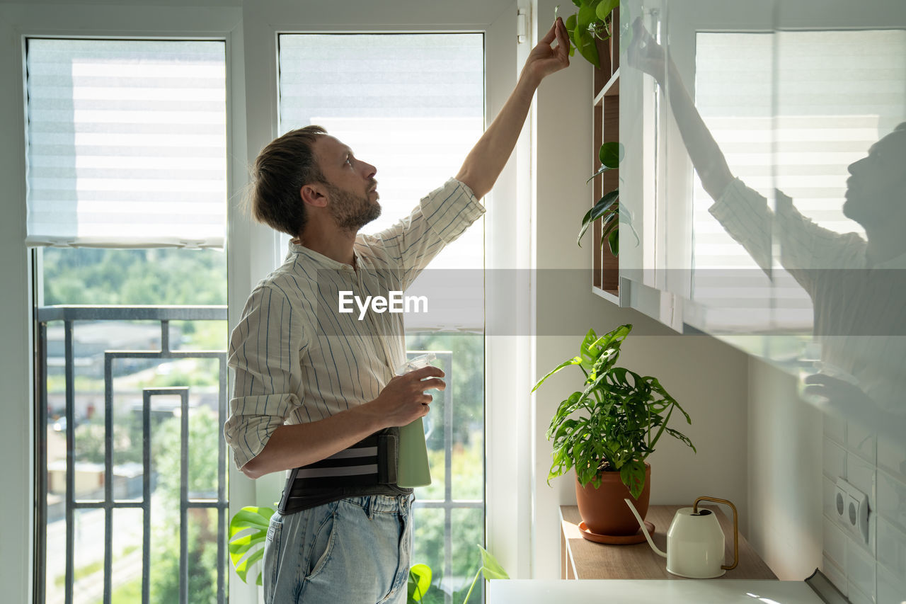 Man in sick leave taking care houseplants at home on kitchen wearing back support belt corset.