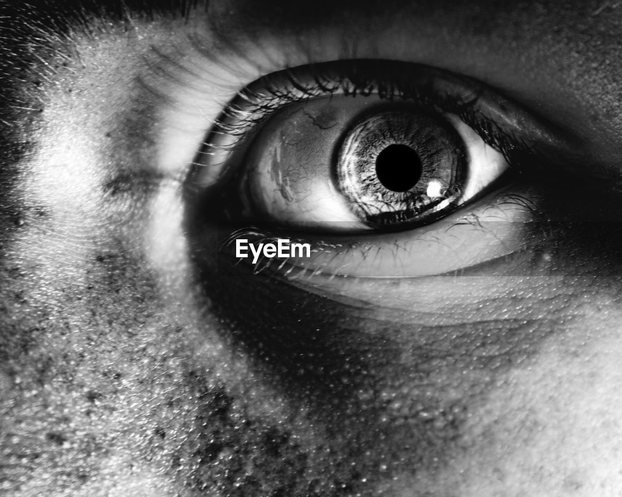 Close-up of human eye