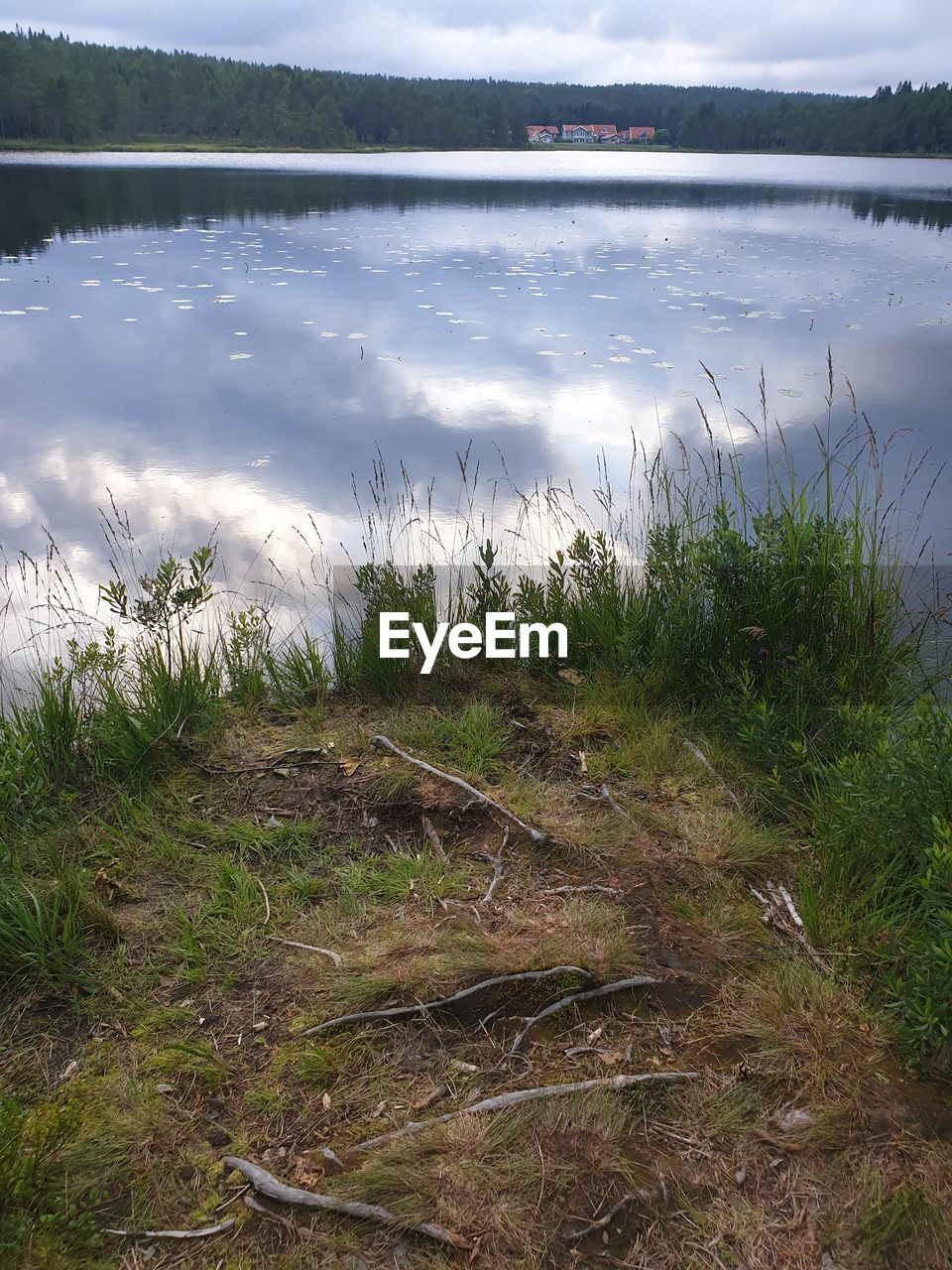 SCENIC VIEW OF LAKE