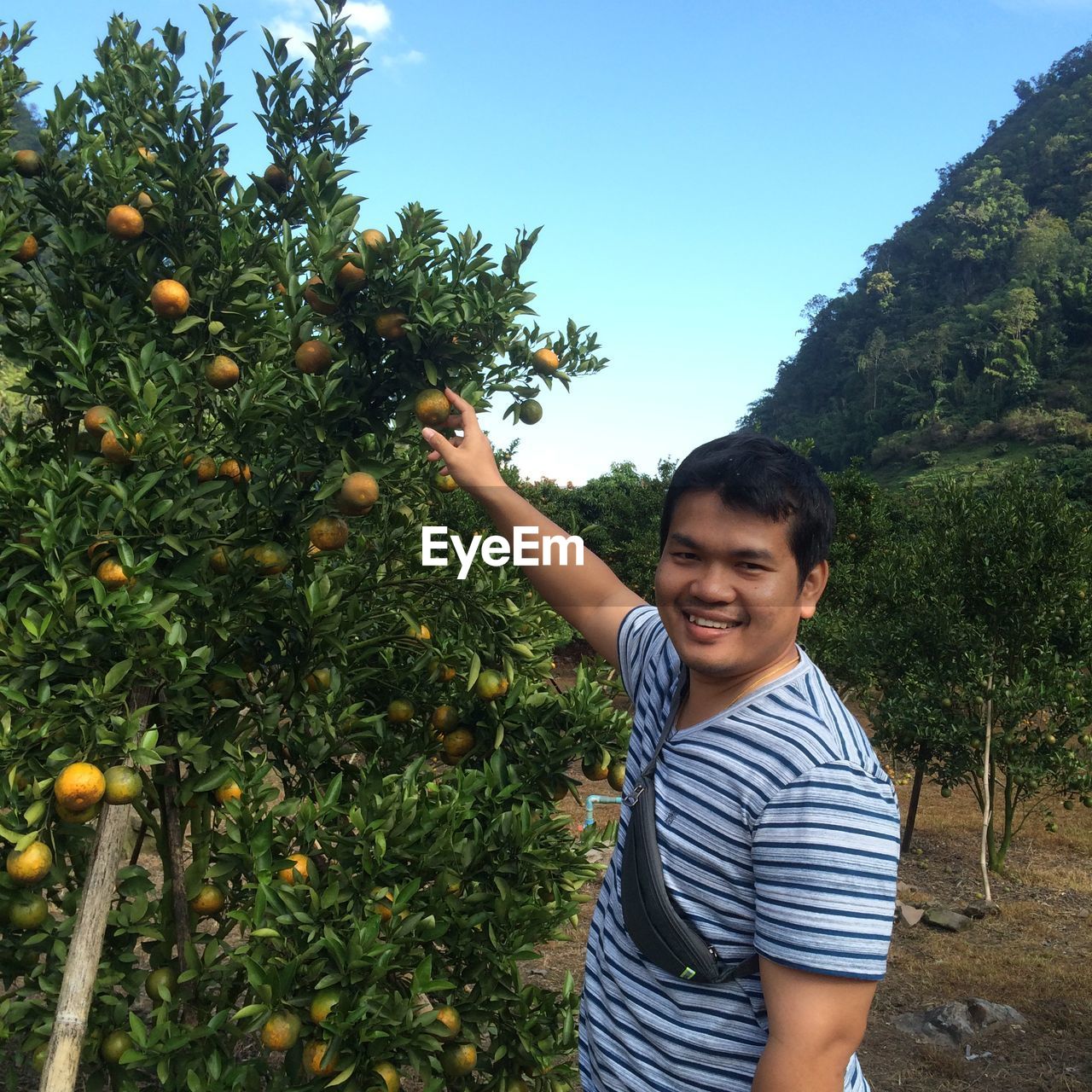 Portrait of smiling man holding oranges at farm against sky