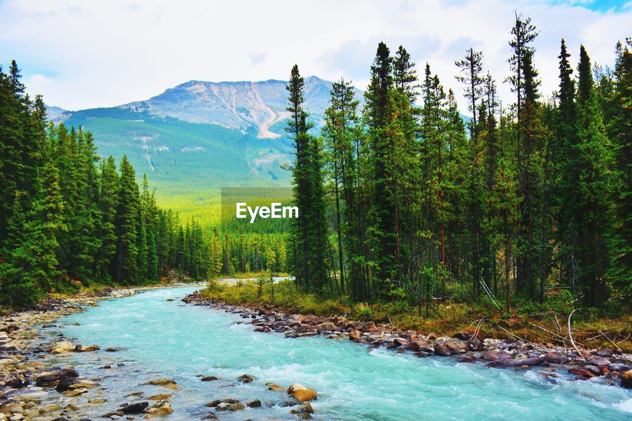 Scenic view of stream leading towards mountain against sky