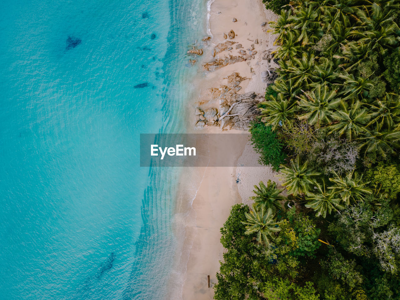 HIGH ANGLE VIEW OF BEACH AGAINST TREES