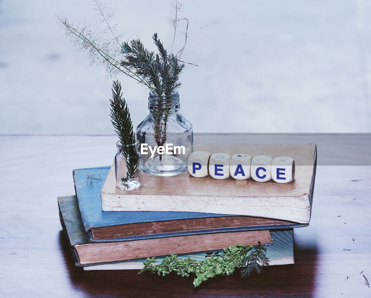High angle view of peace toy blocks and plants on books