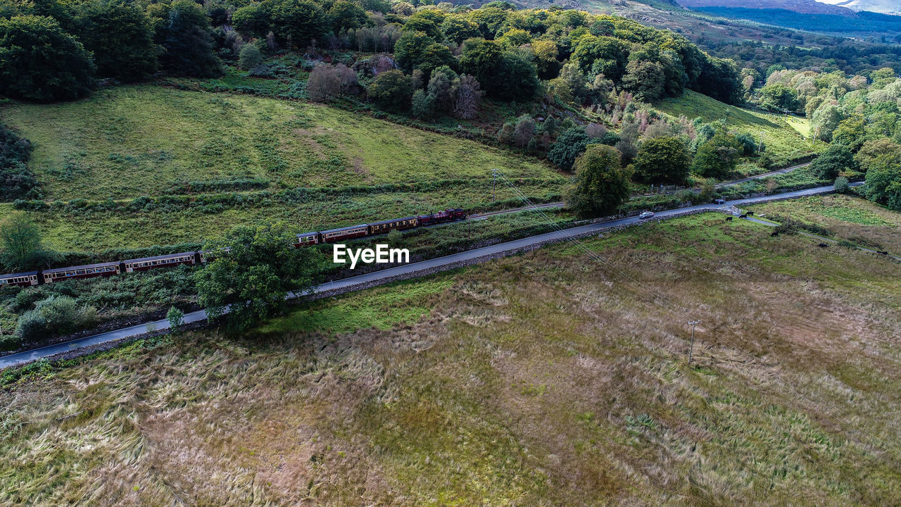 HIGH ANGLE VIEW OF ROAD BY TREES ON LANDSCAPE