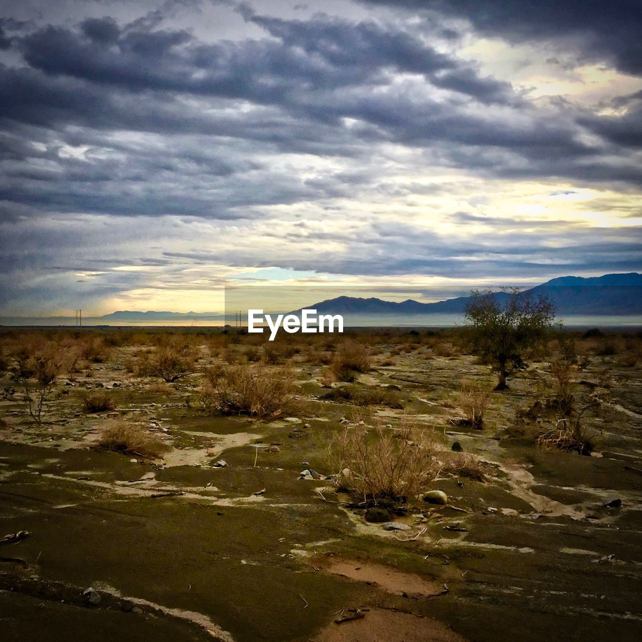 SCENIC VIEW OF DESERT LANDSCAPE AGAINST SKY