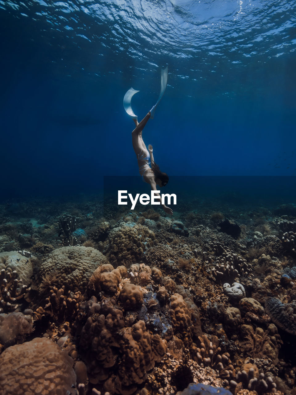 low section of man swimming in sea