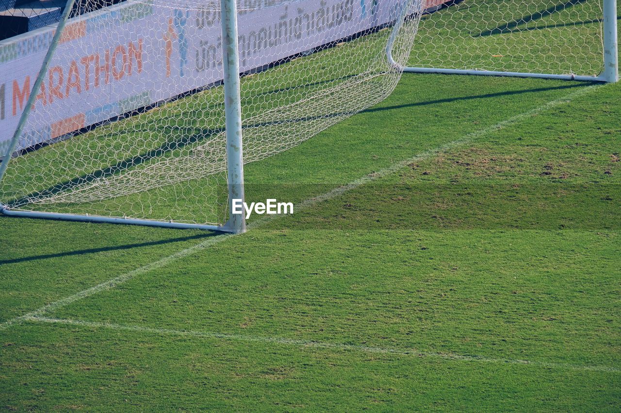 PLANTS GROWING ON FIELD AGAINST WALL