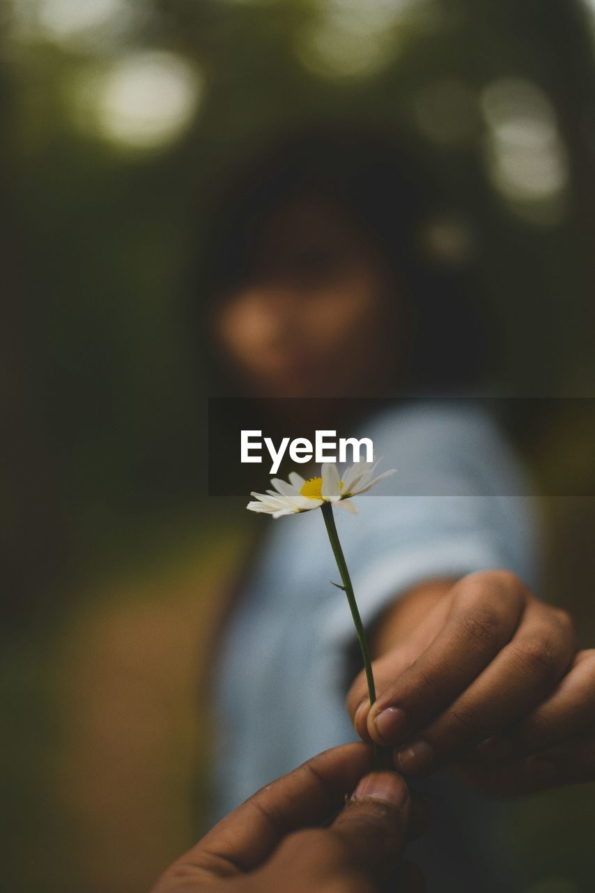 Close-up of woman hand holding flower