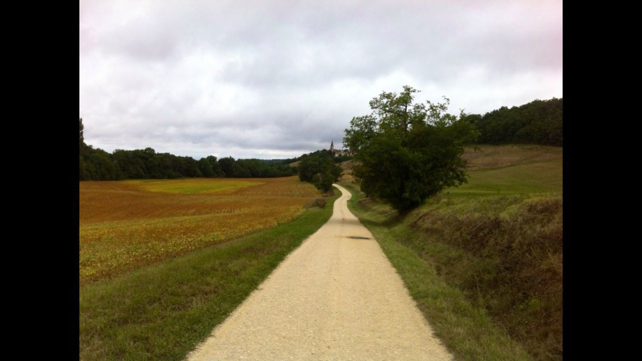 ROAD PASSING THROUGH LANDSCAPE