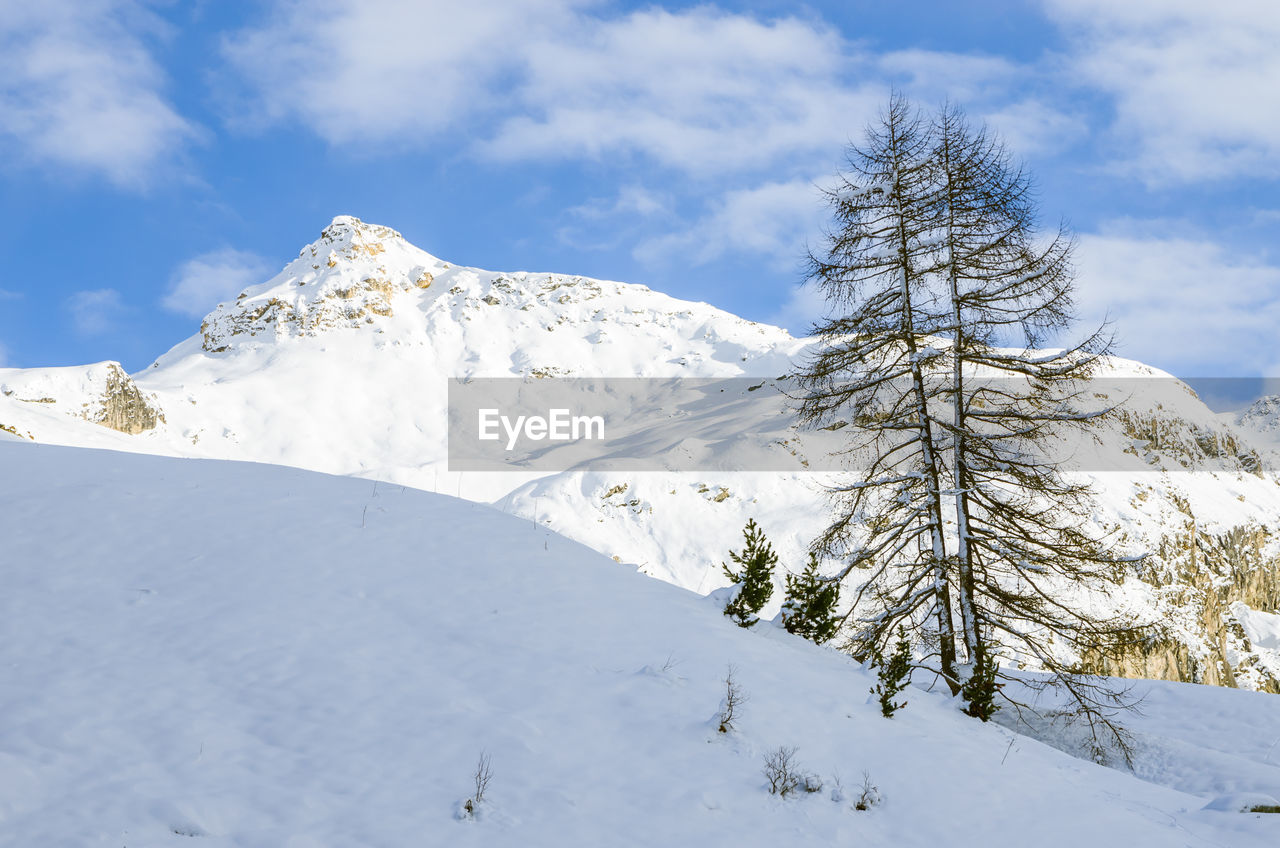 Wintertime alpine scene