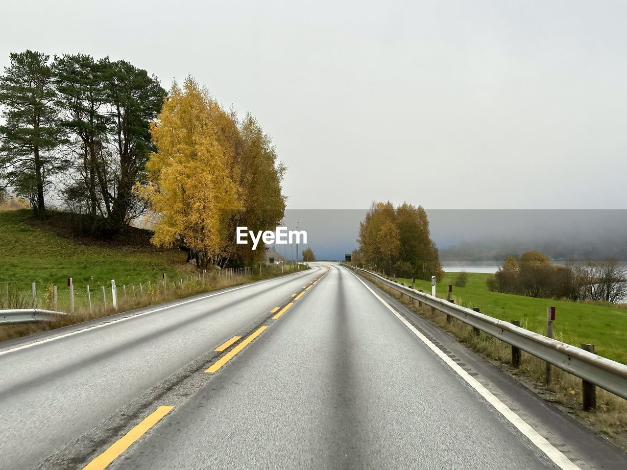 Road amidst trees against sky