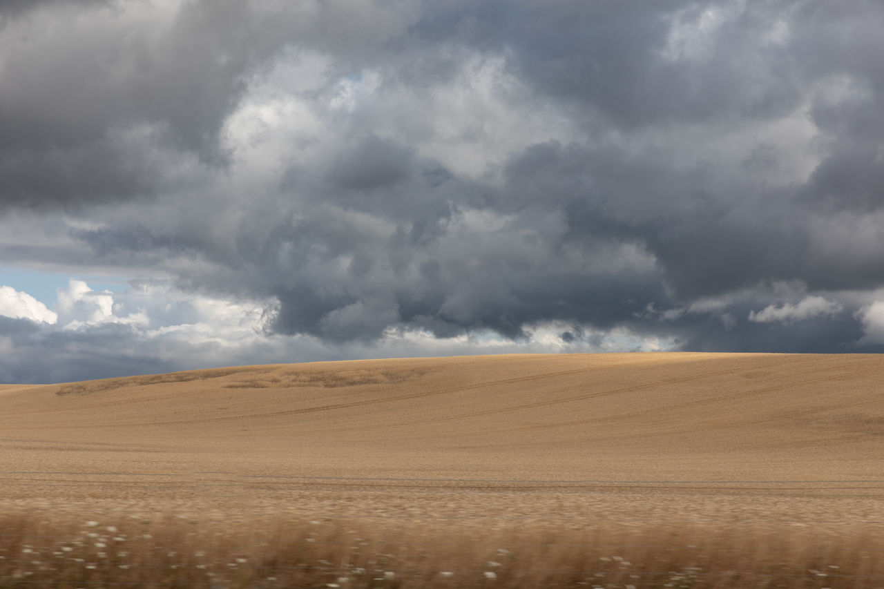 cloud, environment, landscape, sky, horizon, land, plain, storm, nature, field, scenics - nature, grassland, beauty in nature, dramatic sky, storm cloud, prairie, cloudscape, horizon over land, steppe, no people, overcast, thunderstorm, rain, day, outdoors, wet, sand, plant, sunlight, natural environment, agriculture, tranquility, wind, non-urban scene, hill, rural scene, extreme weather, cereal plant, urban skyline, travel, soil, climate, accidents and disasters, awe, grass, summer, plateau, desert, moody sky, remote, travel destinations